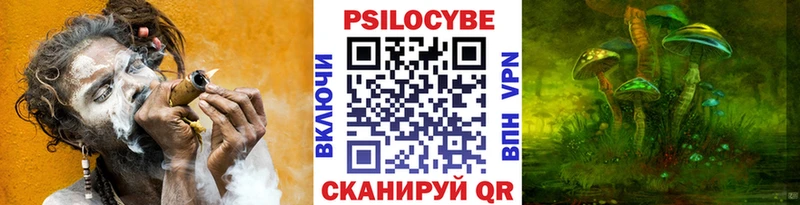 Галлюциногенные грибы Psilocybe Можайск